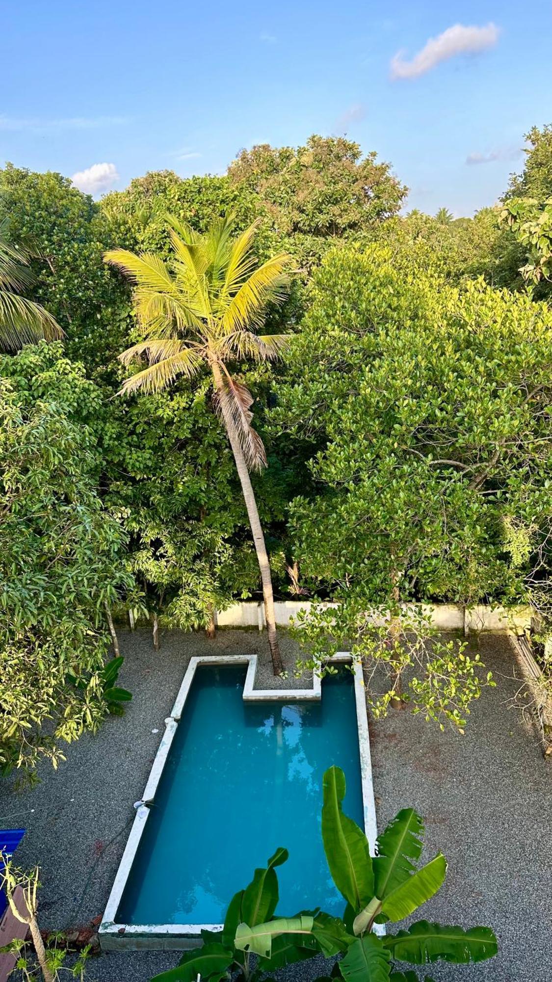 House Of Surf Hostel For Women Varkala Luaran gambar